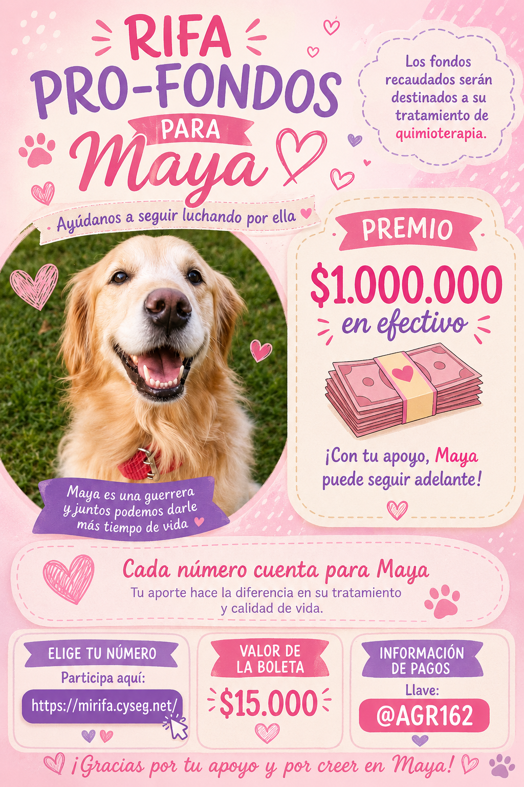 Afiche de la Rifa por Maya, premio de un millón de pesos